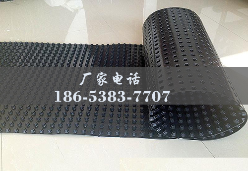 排水板廠家http://www.divademure.com/